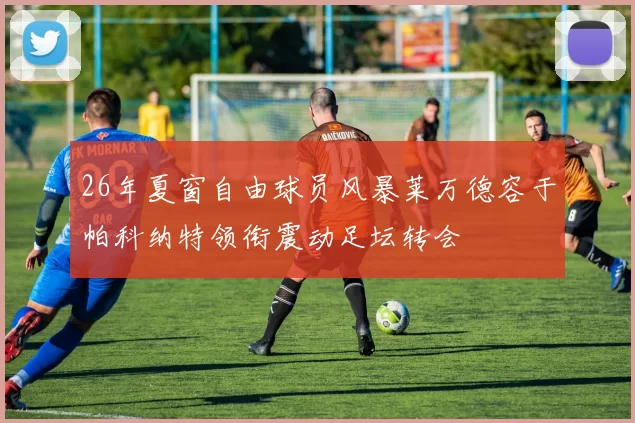 26年夏窗自由球员风暴莱万德容于帕科纳特领衔震动足坛转会