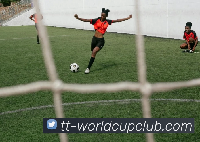 亚洲体育博彩平台平台生态图